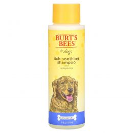 Burt's Bees, Успокаивающий зуд шампунь для собак с жимолостью, 16 жидких унций (473 мл)