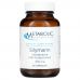 Metabolic Maintenance, "Силимарин", стандартизированный экстракт чертополоха, 300 мг, 60 капсул