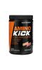 Nutrabio Labs, Amino Kick, апельсин и манго, 269 г (0,59 фунта)