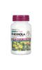 Nature's Plus, Herbal Actives, Родиола, с продленным высвобождением, 1000 мг, 30 растительных таблеток