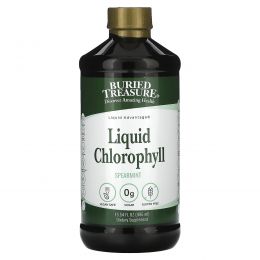 Buried Treasure, Liquid Chlorophyll, Spearmint, 16.23 fl oz (480 ml)