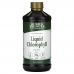 Buried Treasure, Liquid Chlorophyll, Spearmint, 16.23 fl oz (480 ml)