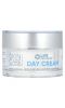 Life Extension, Skin Care Collection, дневной крем, 47 г (1,65 унции)
