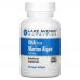 Lake Avenue Nutrition, DHA from Marine Algae, Vegetarian Omega, 200 mg, 60 Veggie Softgels