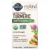 Garden of Life, MyKind Organics, Maximum Strength, Turmeric, Joints & Mobility, 30 Vegan Tablets