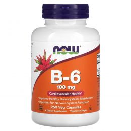 Now Foods, B-6, 100 мг, 250 капсул