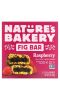 Nature's Bakery, Инжирный батончик, малина, 6 двойных пакетиков по 57 г (2 унции)