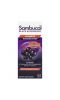 Sambucol, Сироп из черной бузины, усовершенствованная поддержка иммунитета, витамин C + цинк, натуральные ягоды, 120 мл (4 жидк. унции)
