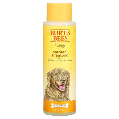 Burt's Bees, Oatmeal Shampoo for Dogs, Colloidal Oat Flour & Honey, 16 fl oz (473 ml)