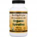Healthy Origins, Органическая спирулина, 500 мг, 360 таблеток