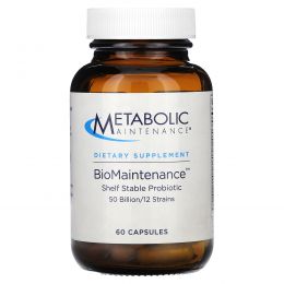 Metabolic Maintenance, BioMaintenance, Shelf Stable Probiotic, 60 Capsules