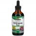 Nature's Answer, Echinacea Root, Fluid Extract, Alcohol-Free, 1,000 mg, 4 fl oz (120 ml)