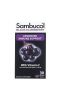 Sambucol, Черная бузина для укрепления иммунитета, Оригинальная формула, 30 жевательных таблеток