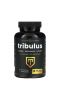 NutraChamps, Tribulus, Extra Strength, 666 мг, 90 растительных капсул