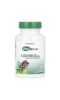 Nature's Plus, Herbal Actives, лакрица (ДГЛ), 60 растительных капсул
