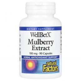 Natural Factors, WellBetX, мультиягодный экстракт, 100 мг, 90 капсул