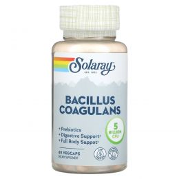 Solaray, Bacillus Coagulans, 5 Billion,  60 Vegetarian Capsules