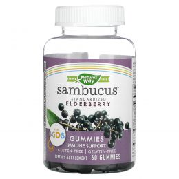 Nature's Way, Sambucus Gummies for Kids Standardized Elderberry, 60 Gummies