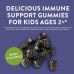 Nature's Way, Sambucus Gummies for Kids Standardized Elderberry, 60 Gummies