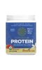 Sunwarrior, Warrior Blend, Plant-Based Organic Protein, Vanilla, 13.2 oz (375 g)