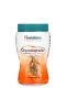 Himalaya, Чаванпраша, суперпродукт, 17,83 унц. (500 г)