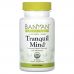 Banyan Botanicals, Tranquil Mind, 90 таблеток