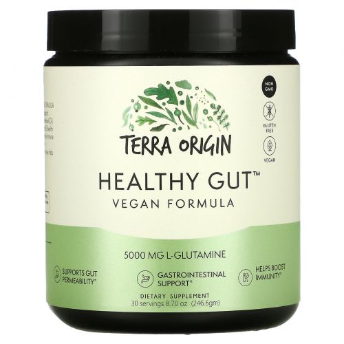 Terra Origin, Healthy Gut, веганская формула, 246,6 г (8,7 унции)